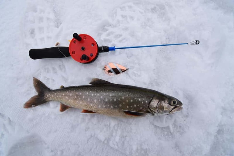 Abisko: Ice Fishing Experience - Who will enjoy this Abisko outing?