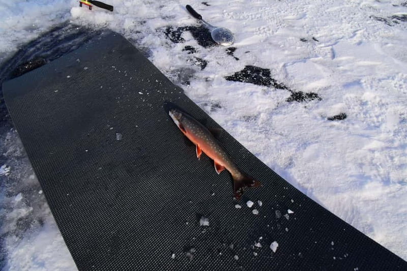 Abisko: Ice Fishing Experience - Should you book it?
