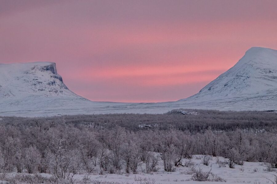 Abisko National Park: Scenic Morning Hike with Transfer - How the itinerary flows from pickup to return