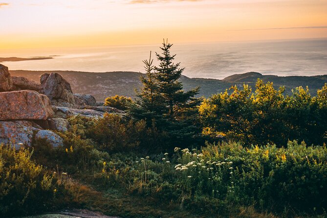 Acadia Cadillac Mountain Sunrise Half Day Private Tour & Hike - Why Cadillac Mountain is worth the early alarm