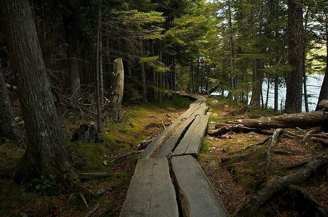 Acadia Cadillac Mountain Sunrise Half Day Private Tour & Hike - Who should book this private sunrise tour?