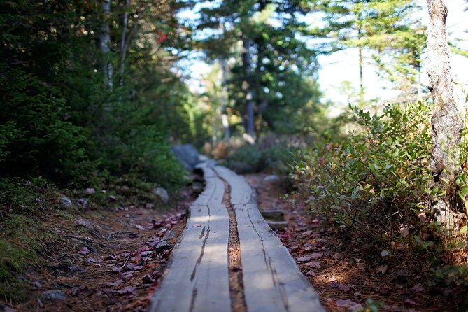 Acadia Full Day Private Tour & Hike - Why a private Acadia day can be worth the price