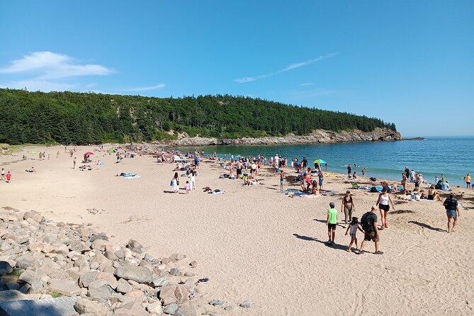 Acadia Woody's Cadillac Loop 3 Hour Driving Tour - Thunder Hole depends on tide and weather