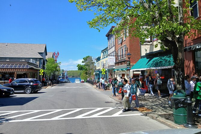 Acadia Woody's Cadillac Loop 3 Hour Driving Tour - Park Loop Road delivers the greatest variety