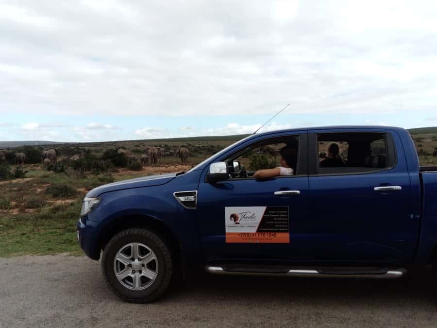 Addo Elephant National Park Game Drive Day Tour With Lunch - The morning drive and first lookout stop