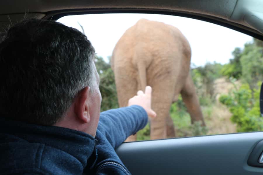 Addo Elephant National Park Game Drive Day Tour With Lunch - The guide makes the difference