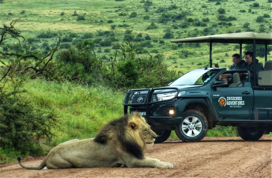 Addo Elephant National Park: Guided Half-Day Safari - The open vehicle changes the feel of the safari
