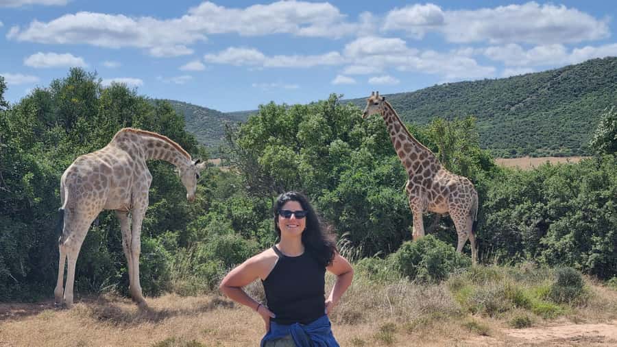Addo Elephant Park and Giraffe Walk Full Day Safari - Addo and giraffes in one carefully packed day
