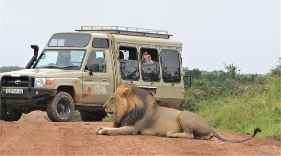 Addo National Park: Guided Half-Day Safari - Snacks, drinks, and the real cost