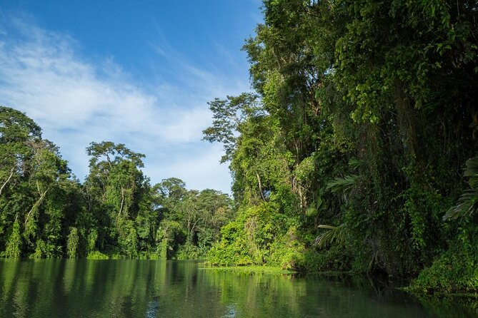 Adventure Canoe Tour in Tortuguero - Key points to know before you book