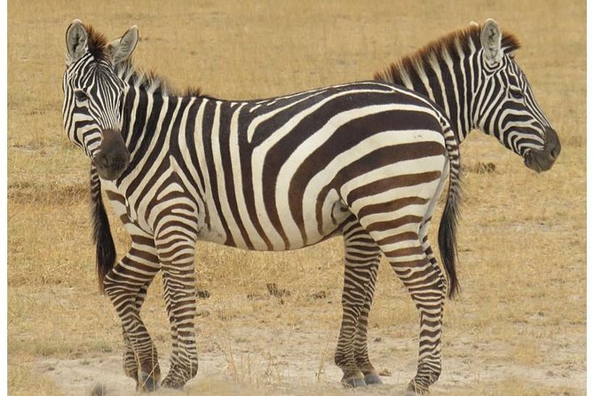 African Wildlife & Nature - 5 Kenya national parks - 6 day Jeep Safari - Day 6: Returning to Nairobi through the Rift Valley