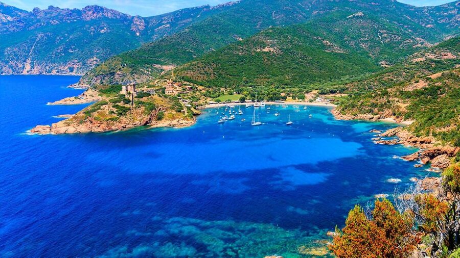 Ajaccio: Guided Scandola Nature Reserve Boat Tour - The last swim at Anse de Cala di Pala