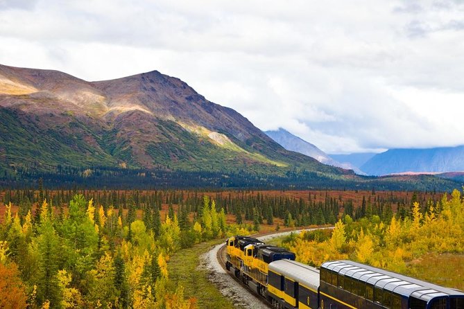 Alaska Railroad Anchorage to Denali One Way - Key points to know before boarding