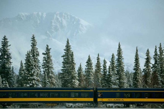 Alaska Railroad Anchorage to Denali One Way - Food, comfort, and the practical onboard details