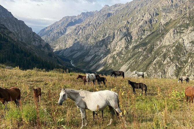 All in one-day: Bishkek city tour and Ala-Archa National Park - Osh Bazaar: a quick look at daily Bishkek