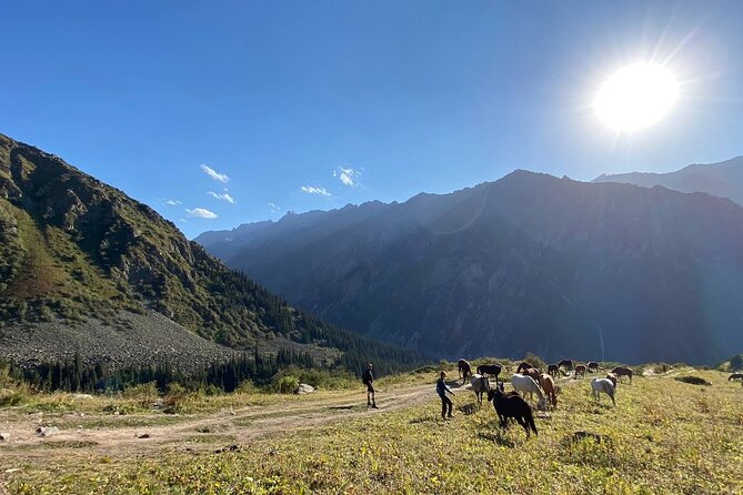 All in one-day: Bishkek city tour and Ala-Archa National Park - Who should book this day?
