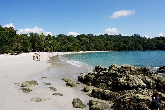 All Inclusive National Park Manuel Antonio with Binoculars - Key points at a glance