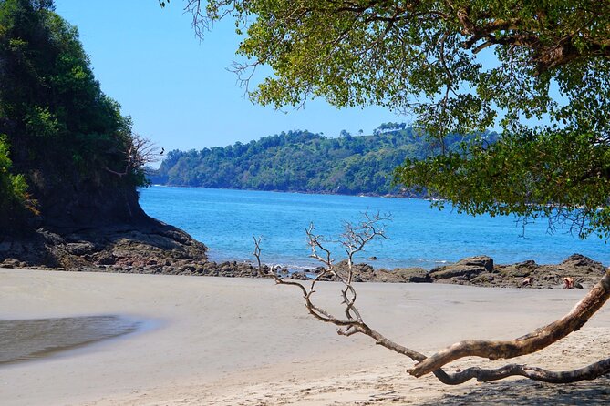 All Inclusive National Park Manuel Antonio with Binoculars - Why a guide changes Manuel Antonio