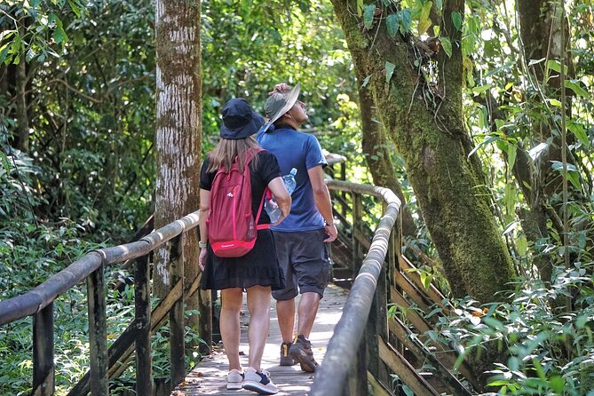 All Inclusive National Park Manuel Antonio with Binoculars - The meeting point in Quepos