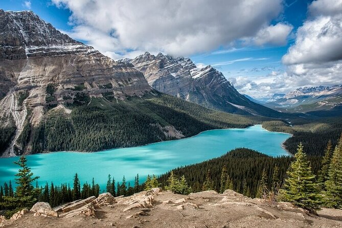 Along Icefields Parkway: Peyto Lake, Bow Lake & Columbia Icefield - Why this Calgary day trip is worth considering