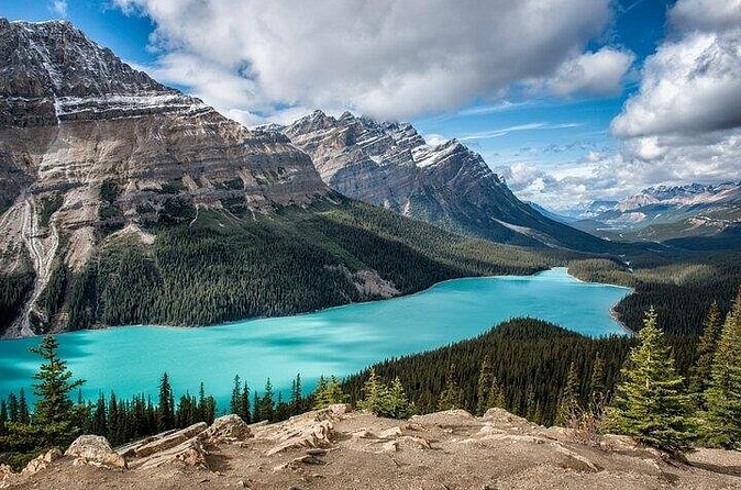 Along Icefields Parkway: Peyto Lake, Bow Lake & Columbia Icefield - Lunch at Saskatchewan River Crossing