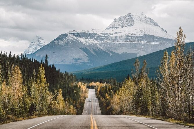 Along Icefields Parkway: Peyto Lake, Bow Lake & Columbia Icefield - The long return to Calgary