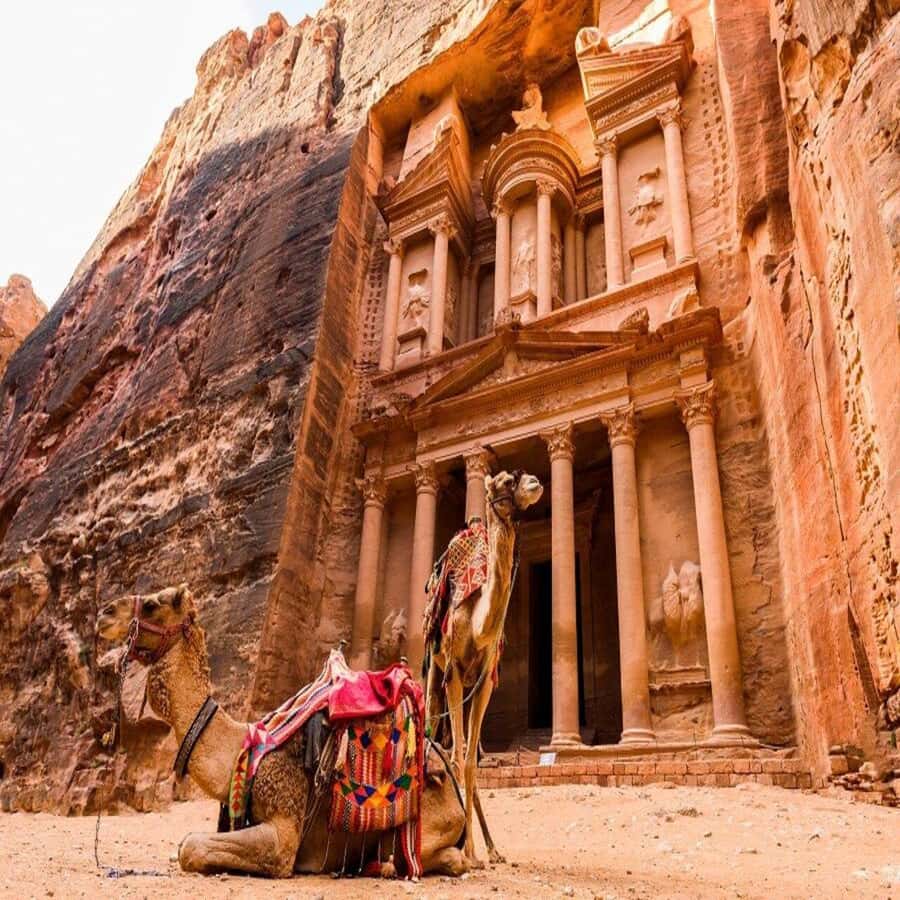 Amman Private Tour Petra Wadi Rum And Dead Sea 2day Bubble - Key points to know before booking
