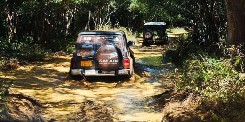 Anuradhapura: Full-Day Wilpattu All Inclusive Private Safari - The afternoon drive and the long-day question