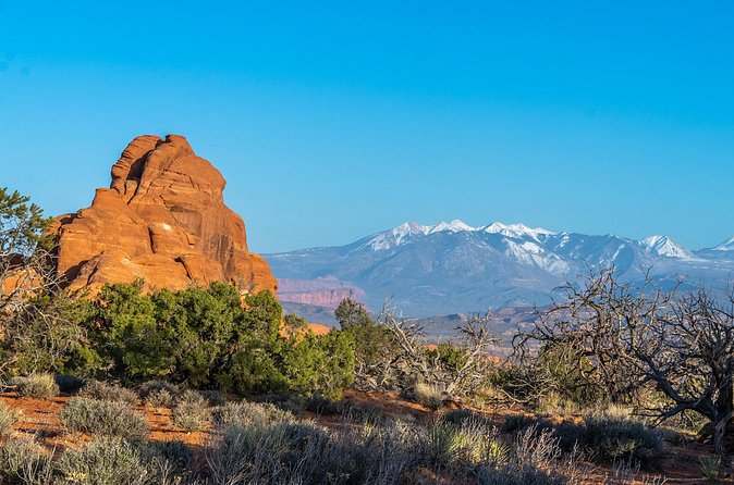 Arches National Park Half Day Tour - Balanced Rock: an easy introduction to Arches