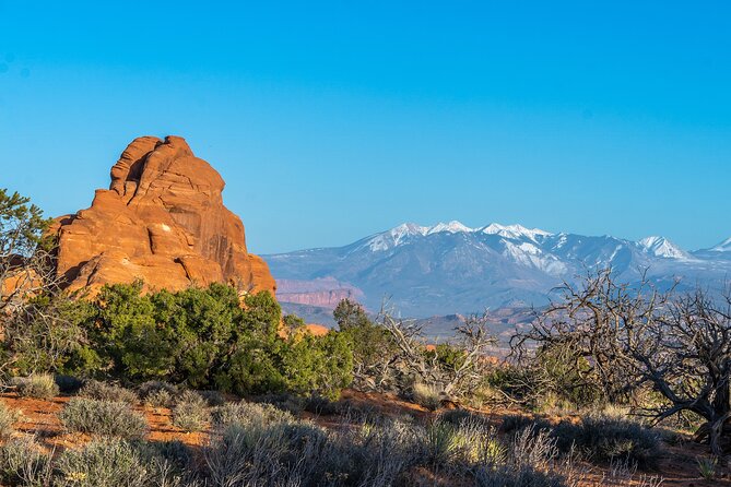 Arches National Park Half Day Tour - The drive into Arches and the first big views