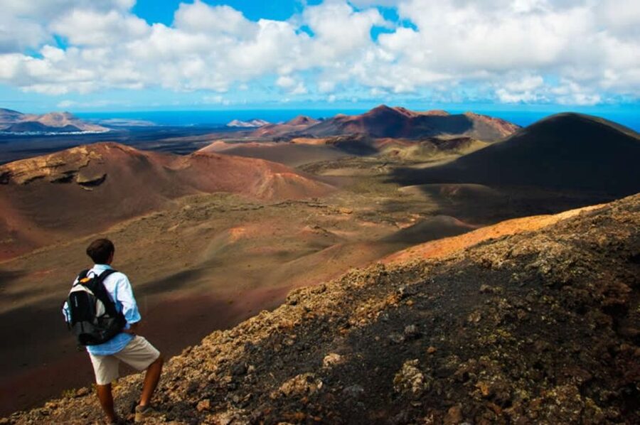 Arrecife/Playa Blanca: Timanfaya National Park Area Day Tour - The Volcanoes Route by coach