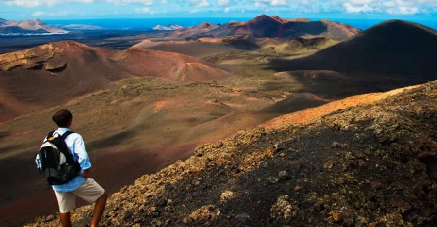 Arrecife/Playa Blanca: Timanfaya National Park Area Day Tour - La Geria and Lanzarote wine