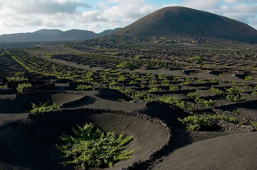 Arrecife/Playa Blanca: Timanfaya National Park Area Day Tour - The Timanfaya entrance and geothermal demonstrations