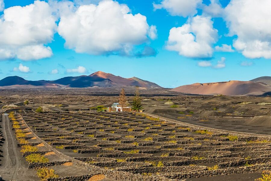 Arrecife: Timanfaya and Green Lagoon for Cruise Passengers - Why Timanfaya is the heart of the tour