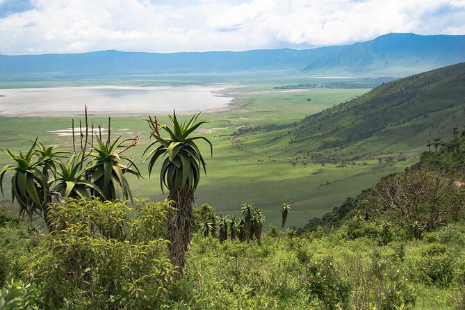 Arusha: 5 days Safari Trip Tarangire, Lake Manyara and Ngorongoro - Why this five-day route works