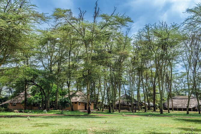 Arusha: 5 days Safari Trip Tarangire, Lake Manyara and Ngorongoro - Day three: A slower morning and Maasai culture in Mto wa Mbu