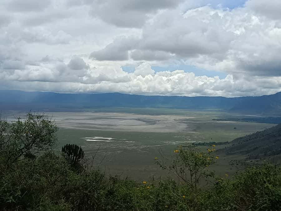 Arusha: Serengeti and Ngorongoro Multi-Day Camping Safari - What $950 gets you, and what it does not