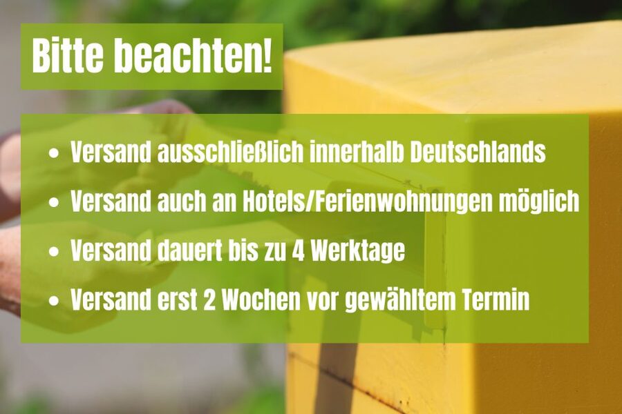 Bad Schandau: Scavenger Hunt through Saxon Switzerland - Key points at a glance