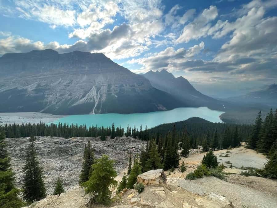 Banff and Jasper National Parks: Tour with Transport - Key points to know before booking
