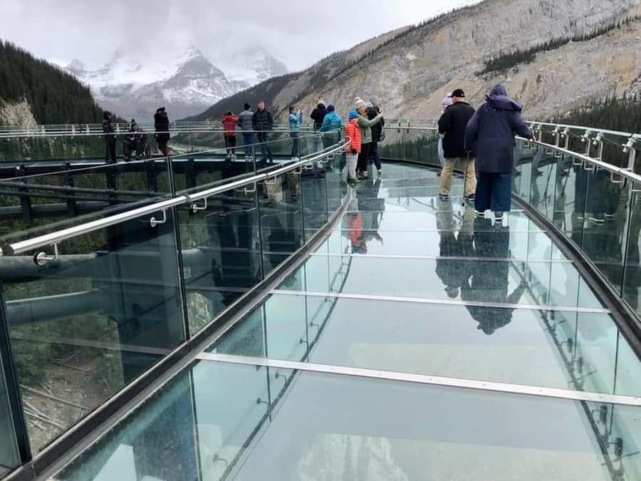 Banff and Jasper National Parks: Tour with Transport - Peyto Lake and the short walk to the view