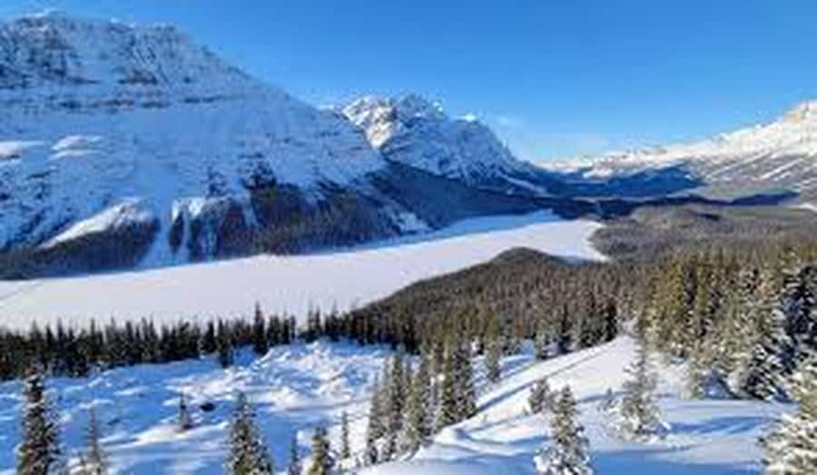 Banff and Jasper National Parks: Tour with Transport - Guides make or break a long day