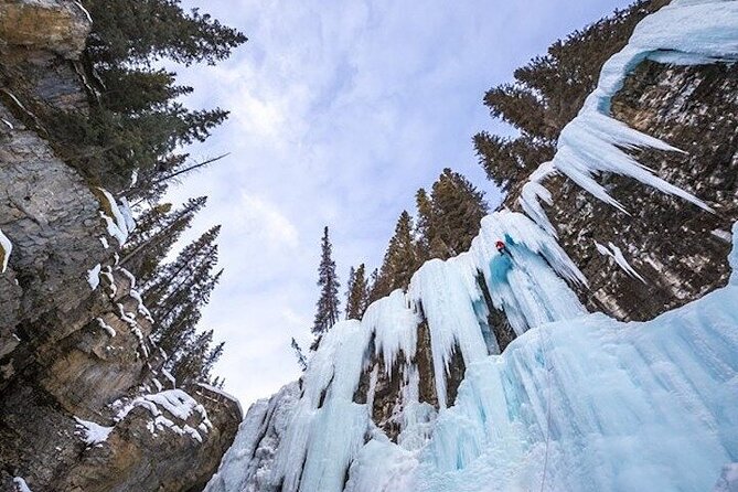 Banff Area & Johnston Canyon 1-Day Tour from Calgary or Banff - How much value do you get for CAD 81.86?