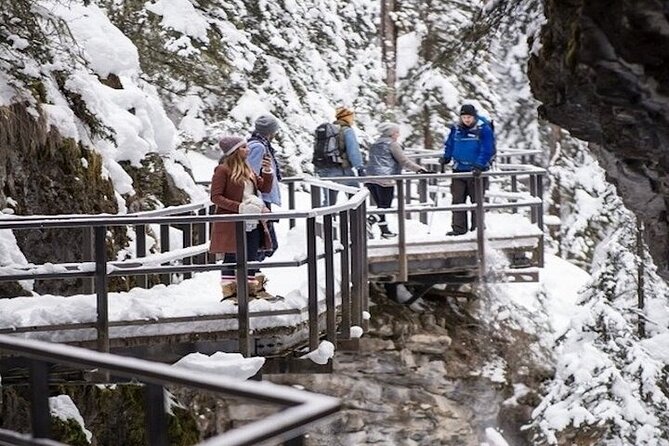 Banff Area & Johnston Canyon 1-Day Tour from Calgary or Banff - Sulphur Mountain and the optional Gondola