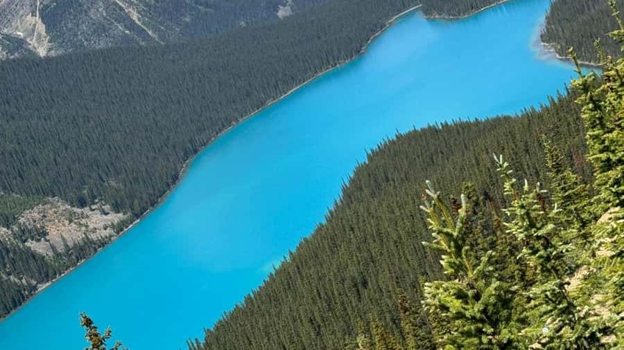 Banff/Calgary/Canmore: Crowfoot Glacier and 5 Lakes Tour - Peyto Lake is the stop to protect your camera battery for