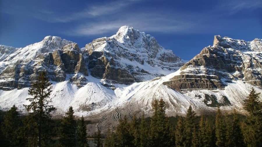 Banff/Calgary/Canmore: Crowfoot Glacier and 5 Lakes Tour - Waterfowl Lake depends on the season