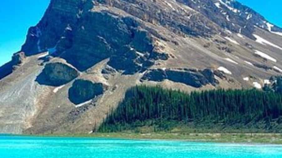 Banff/Calgary/Canmore: Crowfoot Glacier and 5 Lakes Tour - Is $71 a fair price?