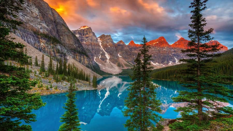 Banff/Canmore: Moraine Lake 1.5h & Lake Louise Half-Day Tour - The ride through Banff National Park