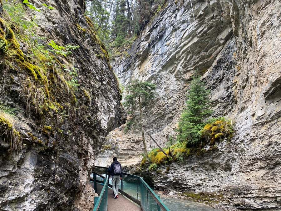 Banff/Canmore: Moraine Lake 1.5h & Lake Louise Half-Day Tour - Practical tips for a smoother outing