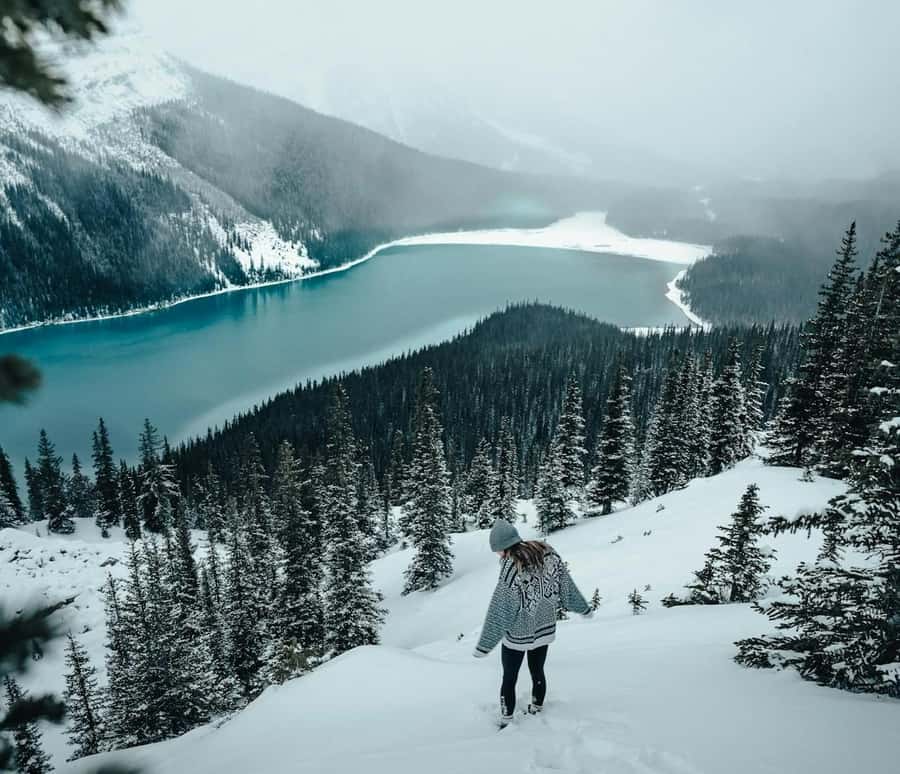 Banff: Columbia Icefield, Skywalk, Parkway, Bow & Peyto Lake - Why the Icefields Parkway deserves a full day