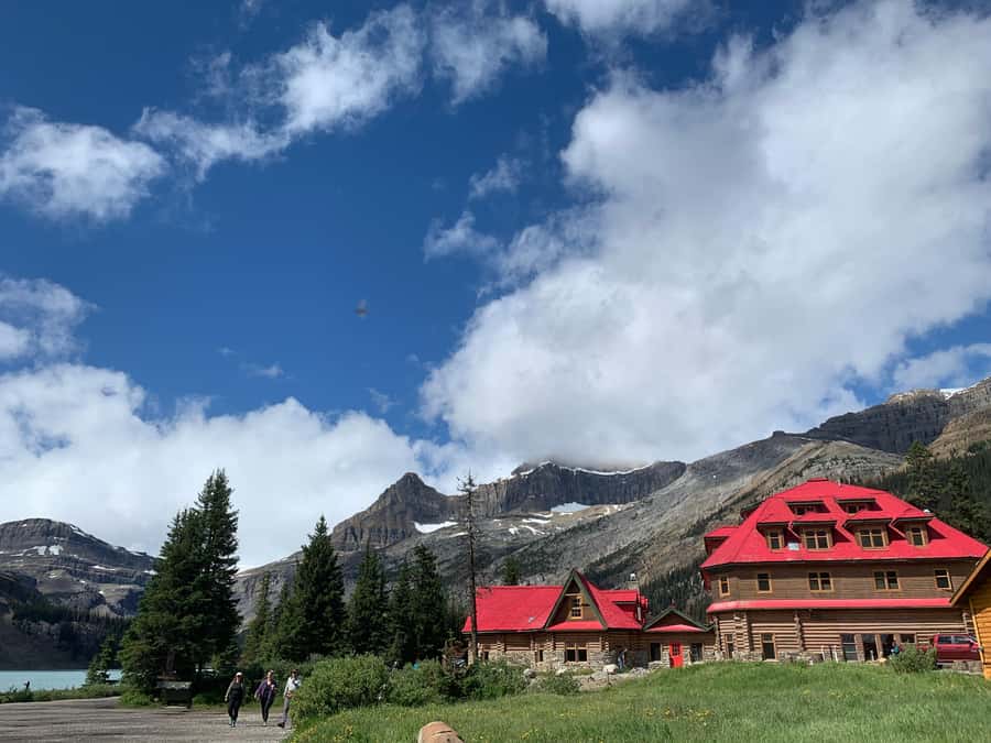 Banff: Columbia Icefield, Skywalk, Parkway, Bow & Peyto Lake - Bow Lake gives you an early taste of the route